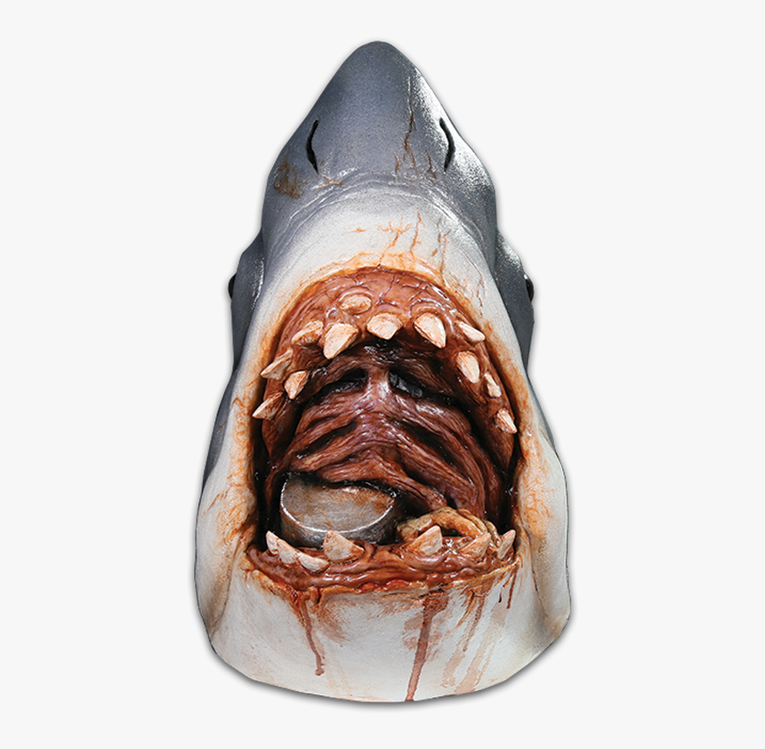 Jaws Shark Steven Spielberg, HD Png Download, Free Download