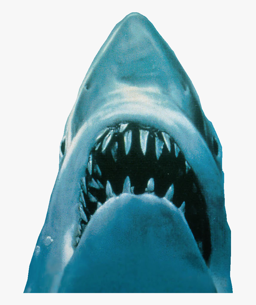 Jaws Poster, HD Png Download, Free Download