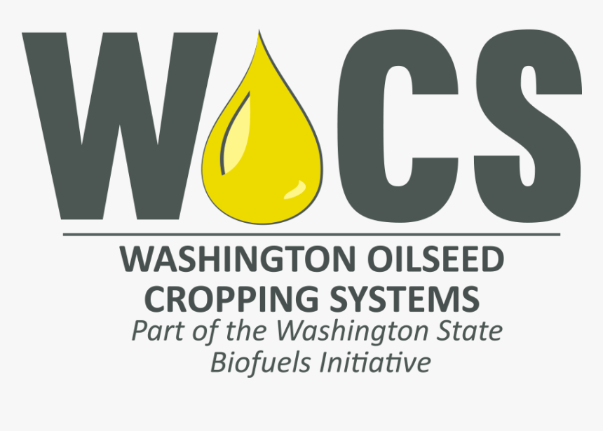 Wocs Final Logo Outline - U Systems, HD Png Download, Free Download