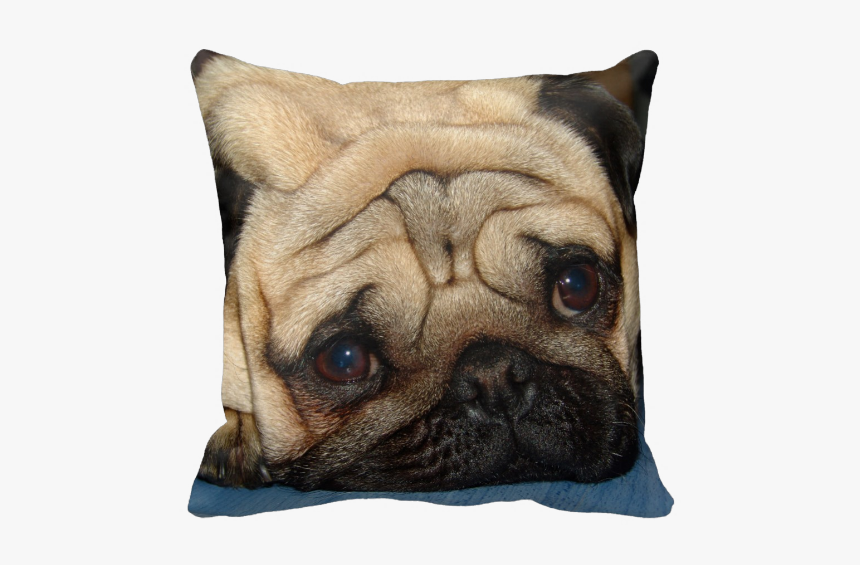 Pug, HD Png Download, Free Download