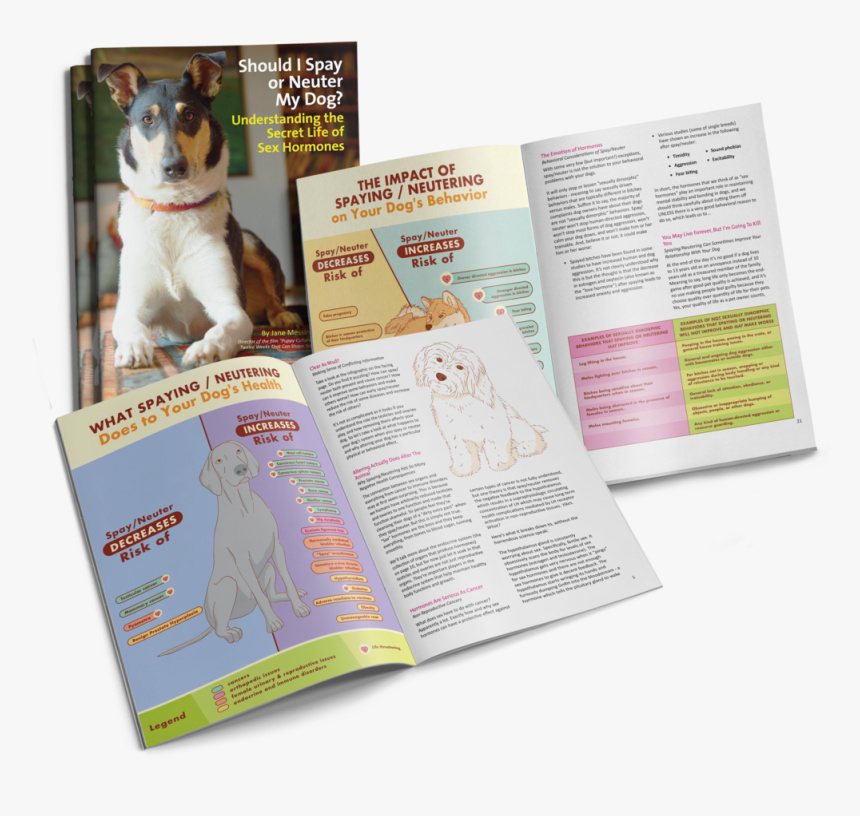 Spaying Neutering Does To Your Dog's Health, HD Png Download, Free Download