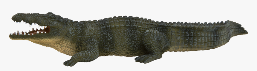 Nile Crocodile Transparent, HD Png Download, Free Download
