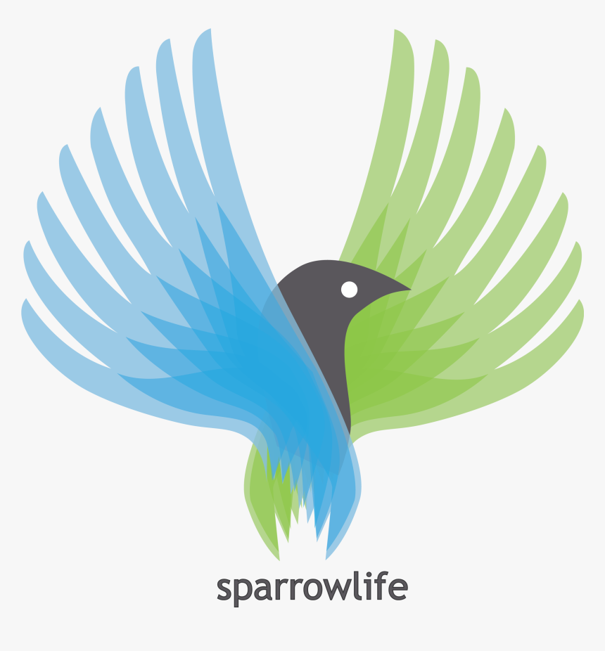 Swallow, HD Png Download, Free Download