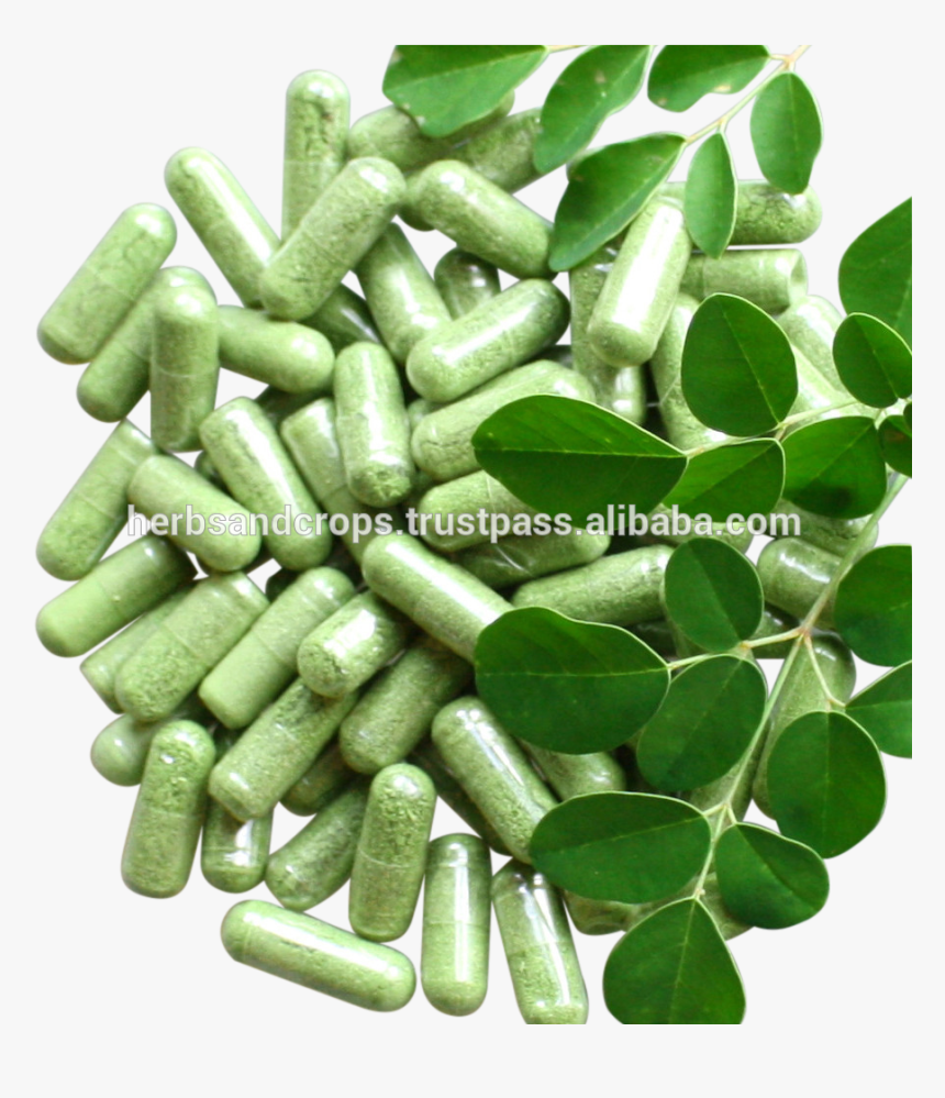 Moringa Capsules In Bottle Pack - Pill Transparent Background Capsule Png, Png Download, Free Download