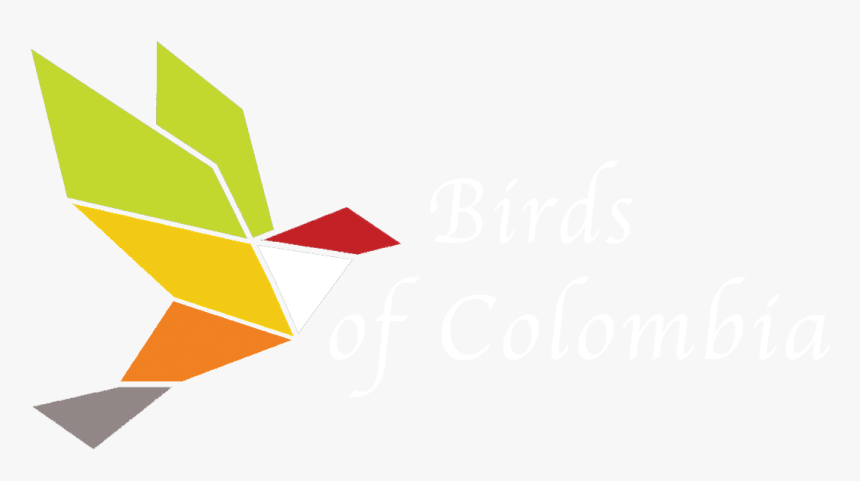 Birds Of Colombia - Graphic Design, HD Png Download, Free Download