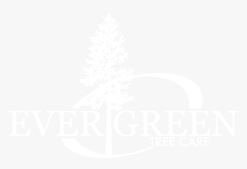 Evergreen Tree Carew - Leinster Rugby Logo White, HD Png Download, Free Download