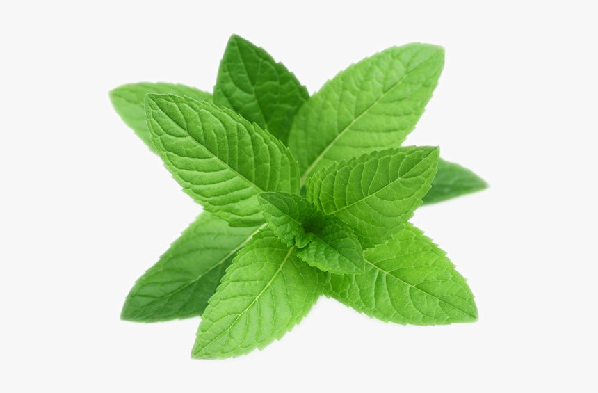 Peppermint Png, Transparent Png, Free Download