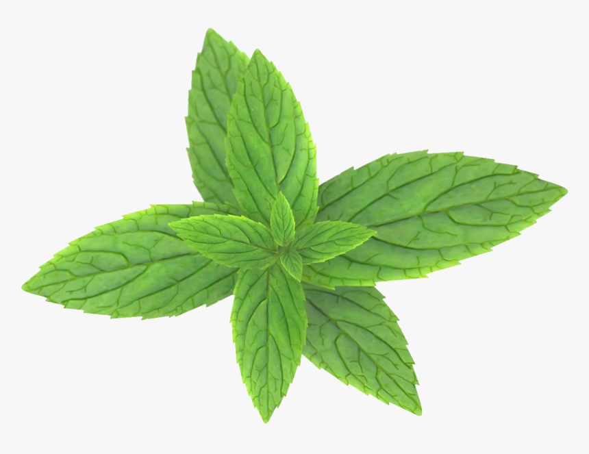 Mint Png Images Are Download Crazypngm - Mint Leaves Transparent Background, Png Download, Free Download