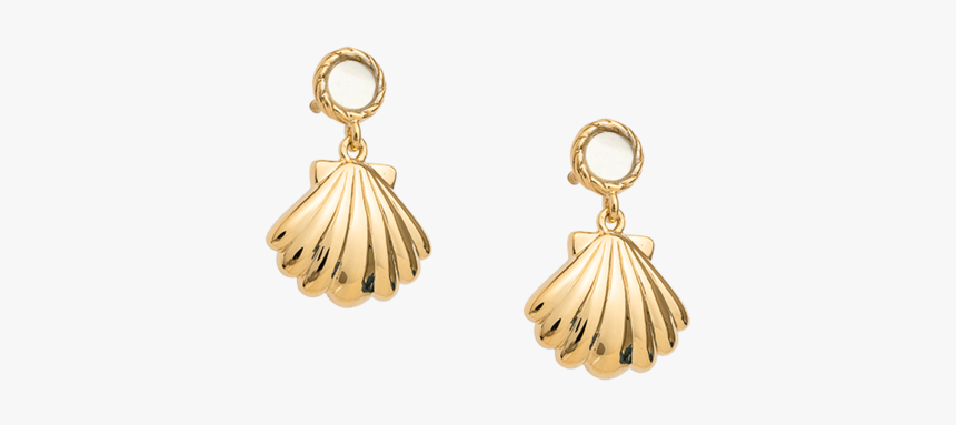 Seashell Earrings - Seashell Earring Transparent, HD Png Download, Free Download