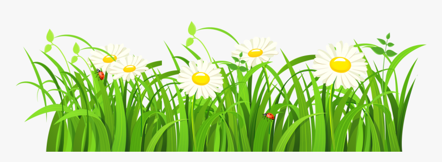 Grass Vector Png Image - Green Grass Vector Png, Transparent Png, Free Download