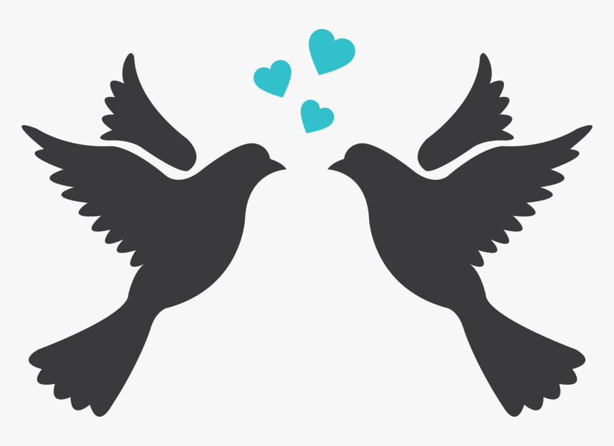 Silhouette Love Bird Png, Transparent Png, Free Download
