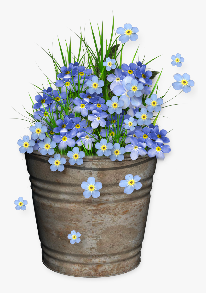 Forget Me Not Drawings Of Flowers, HD Png Download, Free Download