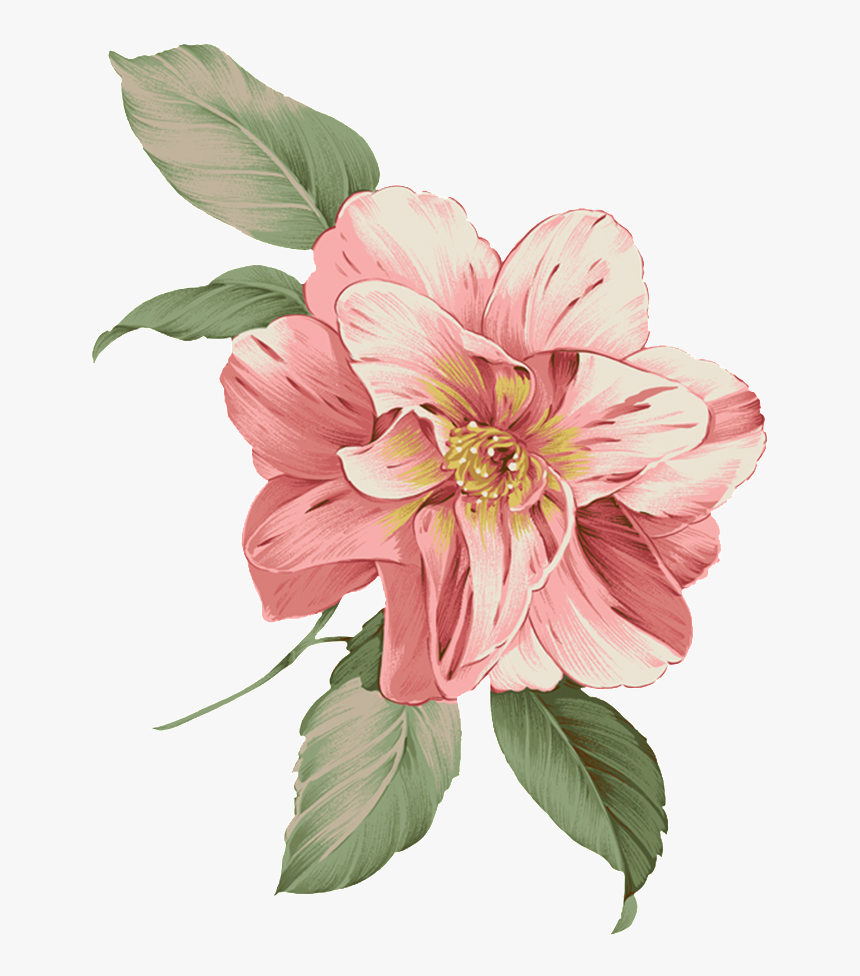 Flower Bucket Png - Pink Flower Watercolor Png, Transparent Png, Free Download