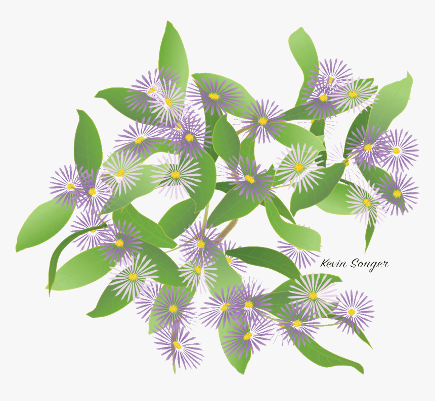 Purple Passionflower, HD Png Download, Free Download