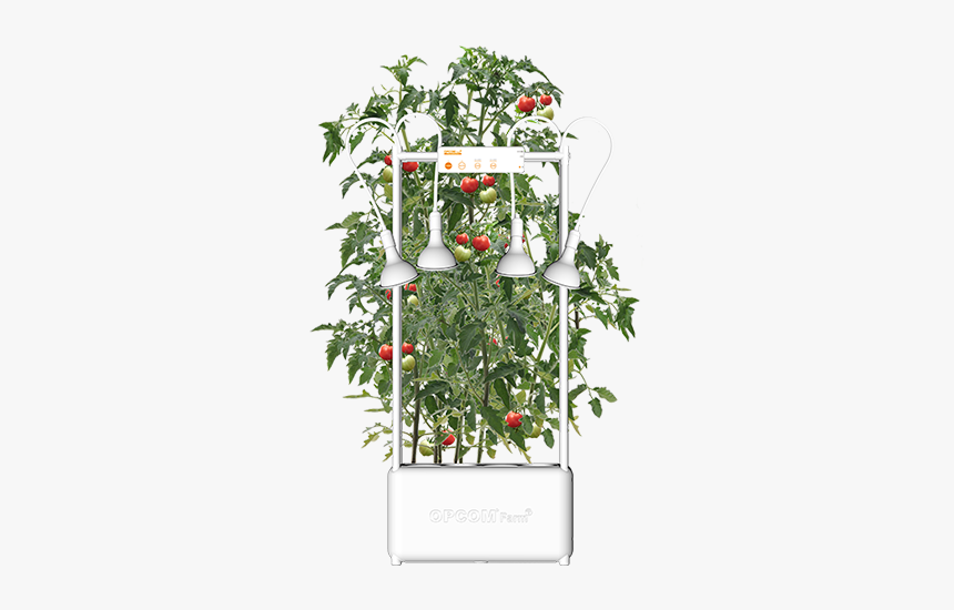 Opcom Farm Growtank Indoor Smart Hydroponic System - Mandevilla, HD Png Download, Free Download