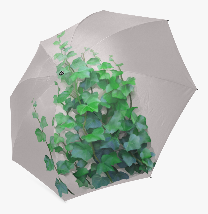 Vines, Climbing Plant Foldable Umbrella - Umbrella, HD Png Download, Free Download