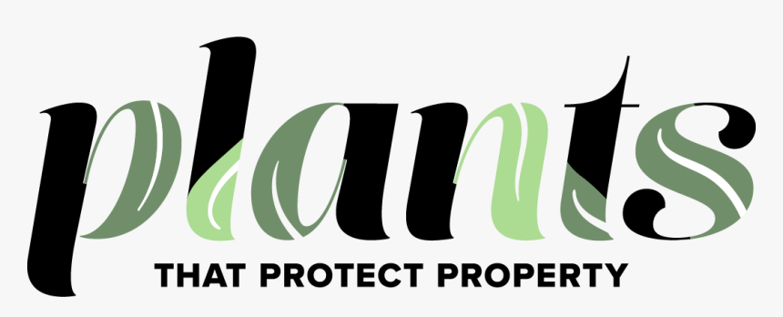 Plants That Protect Property - Graphic Design, HD Png Download, Free Download