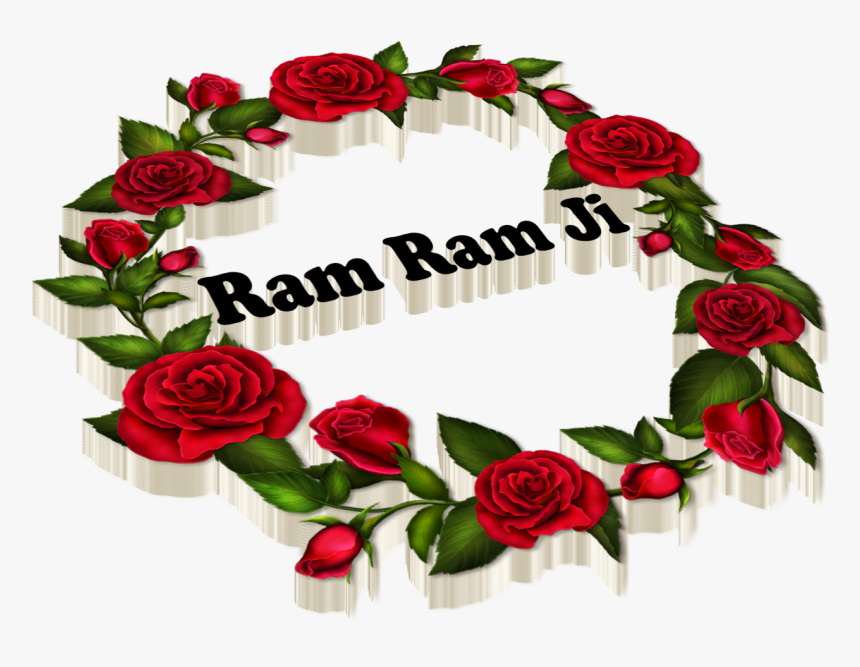 Ram Ram Ji - Good Afternoon Red Rose, HD Png Download, Free Download