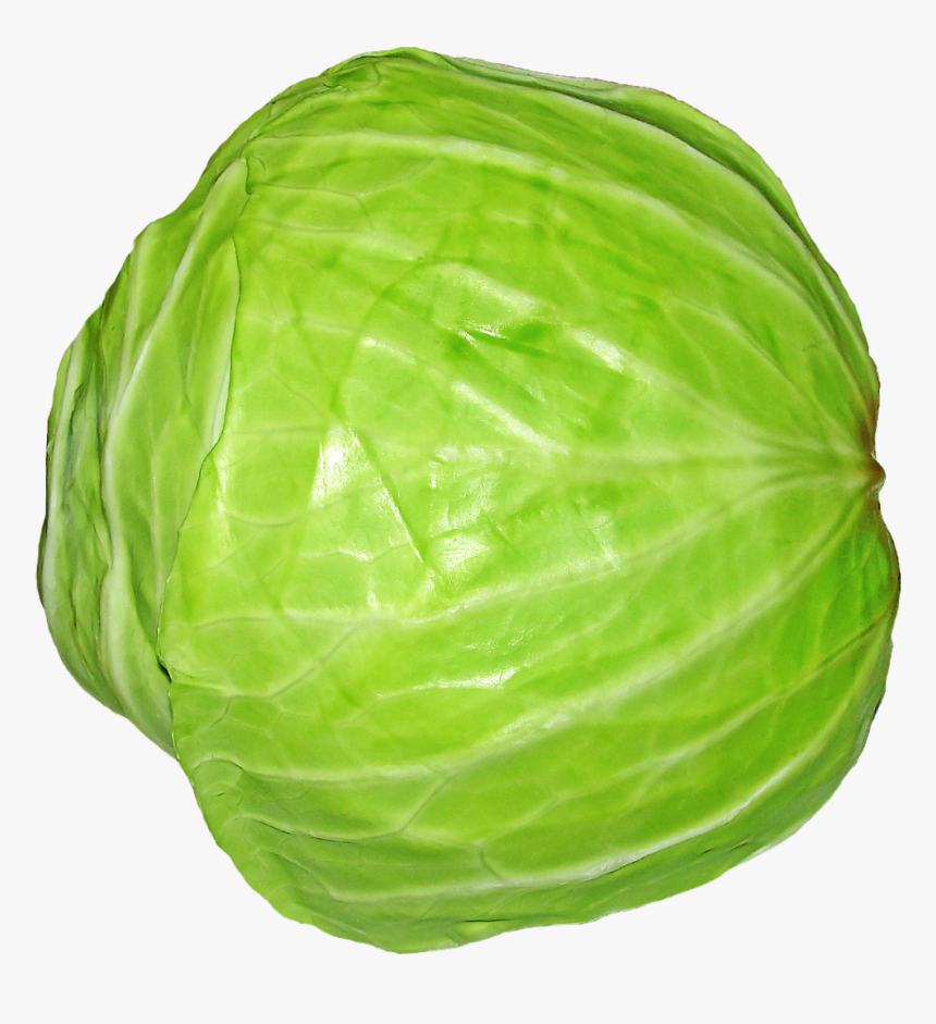 Green Vegetables Png - Transparent Background Transparent Cabbage, Png Download, Free Download