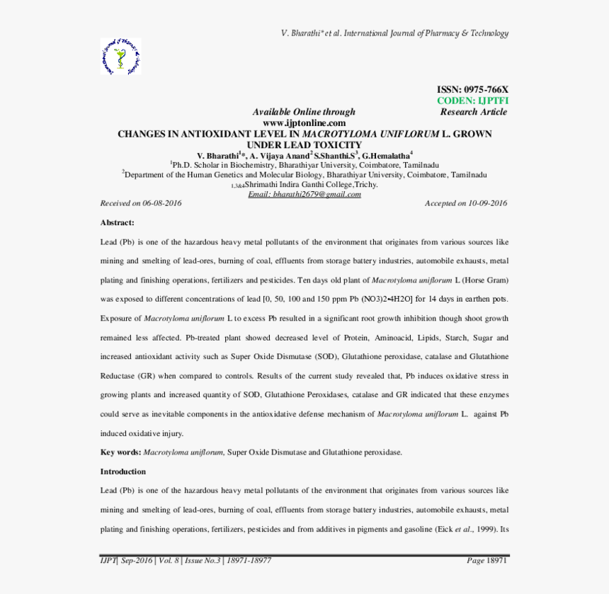 Research Paper Example, HD Png Download, Free Download