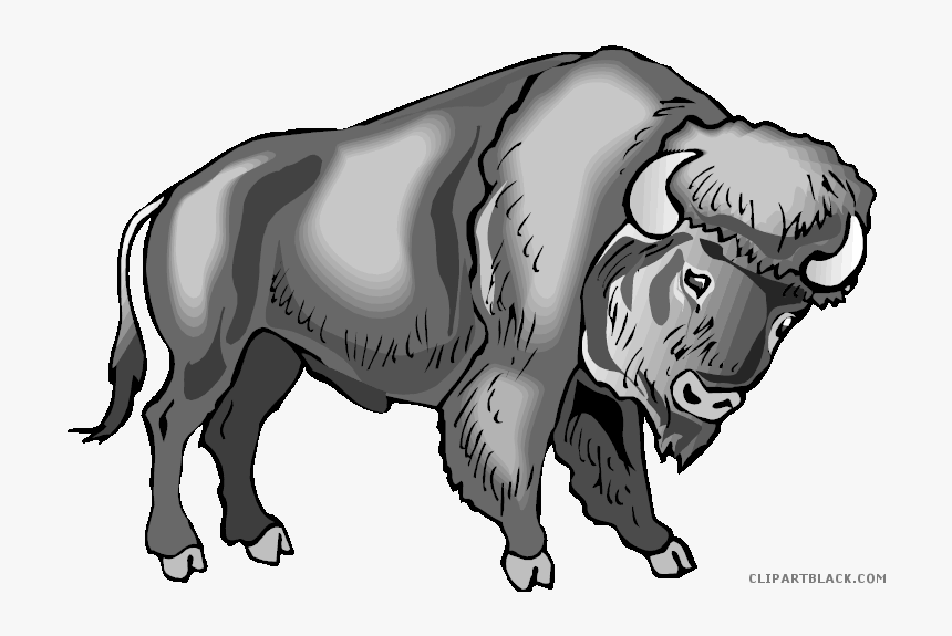 Water Buffalo Clip Art Portable Network Graphics Image - Clipart Buffalo Transparent Background, HD Png Download, Free Download