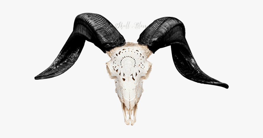 Carved Ram Skull - Ram Skull Png, Transparent Png, Free Download