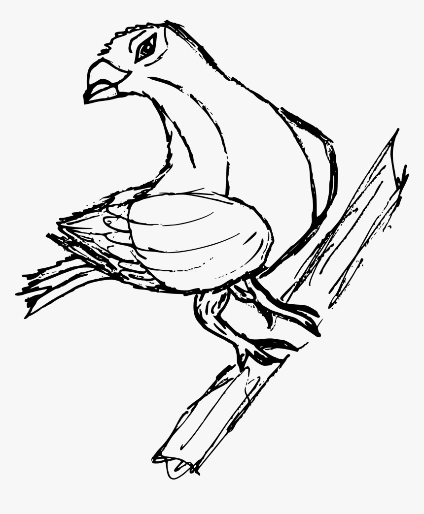 Transparent Pigeon Png - Sketch, Png Download, Free Download