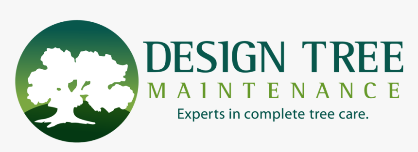 Design Tree Maintenance Inc Logo - Graphic Design, HD Png Download, Free Download