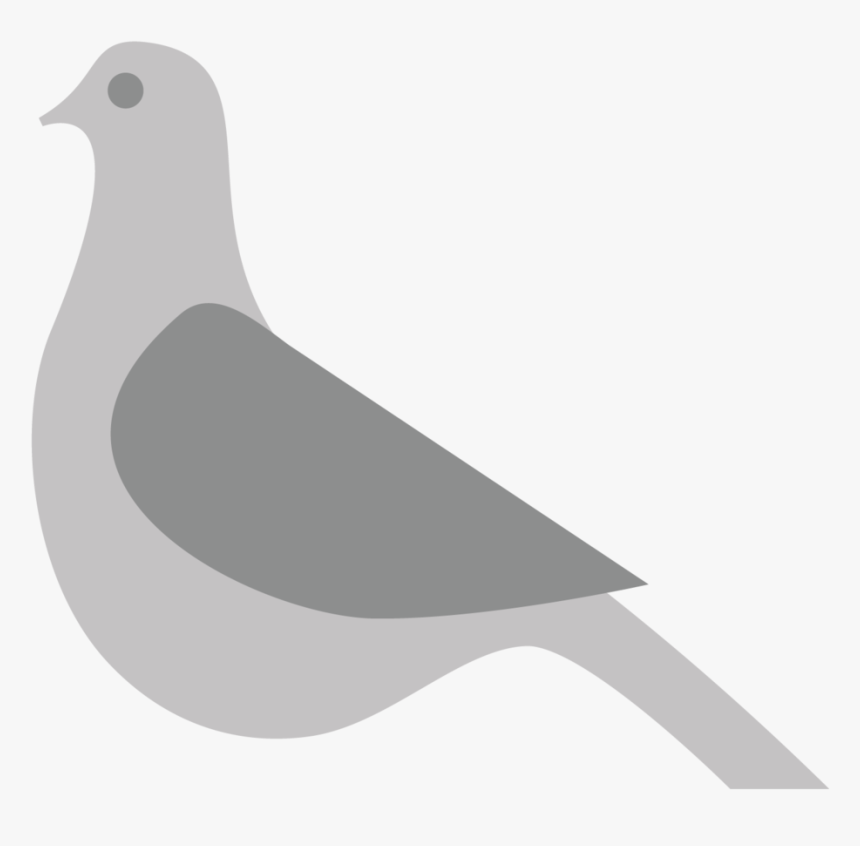 The Mooch Pigeon - Stock Dove, HD Png Download, Free Download