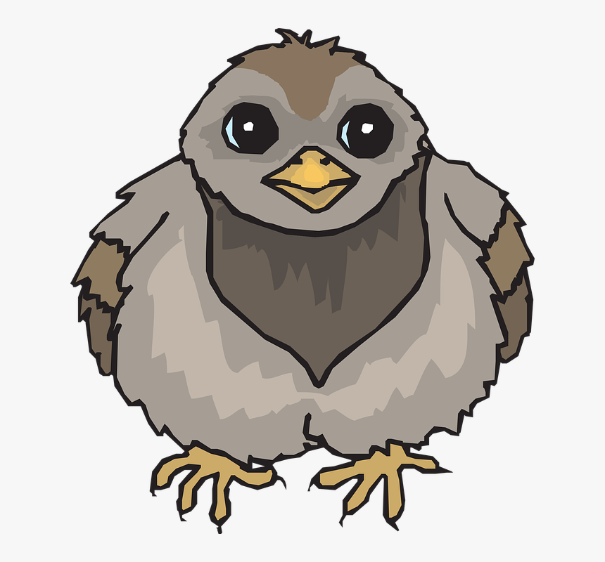 Baby Pigeon Drawing, HD Png Download, Free Download