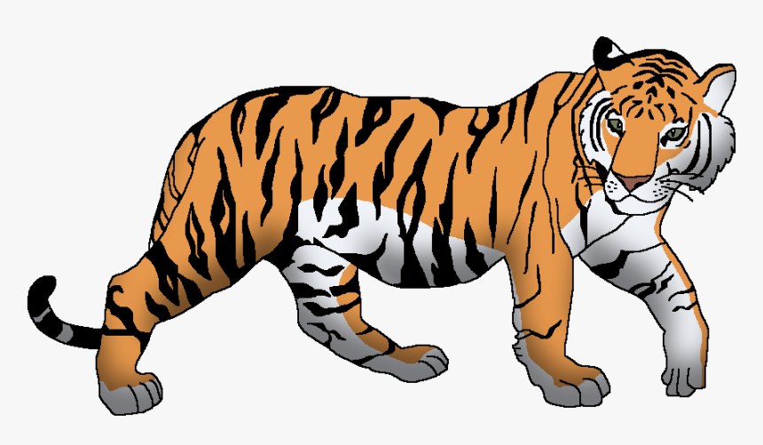 Wildlife Animal Pedia Wiki - Tiger Clipart, HD Png Download, Free Download