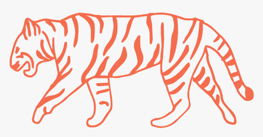 Tiger, HD Png Download, Free Download