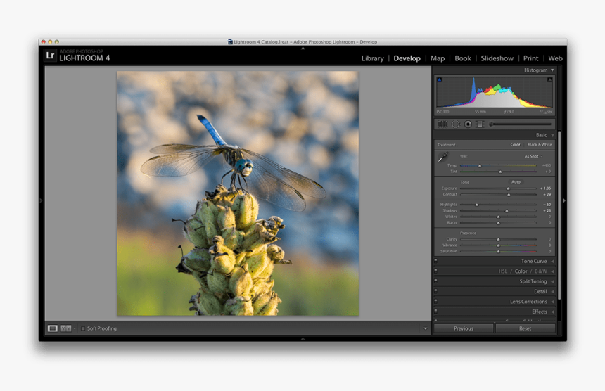 Highlightsshadows - Lightroom Hd Png Background, Transparent Png, Free Download