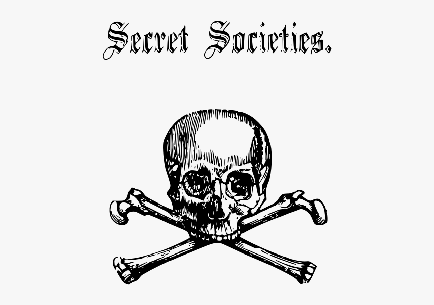 Scary Skull And Cross Bones Vector Line Art Image - Secret Society Skull And Cross Bones, HD Png Download, Free Download