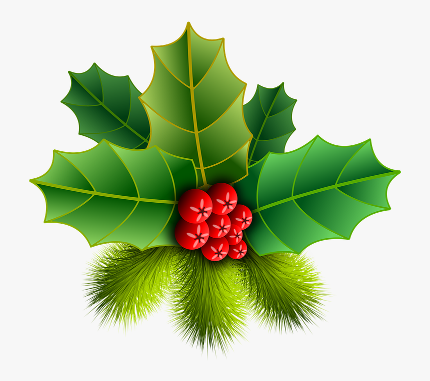 Christmas Holly Pinheiro Image - Png Holly, Transparent Png, Free Download