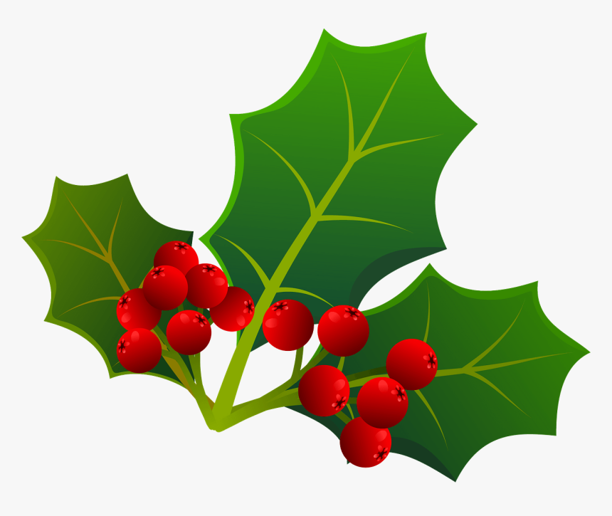 American Holly, HD Png Download, Free Download