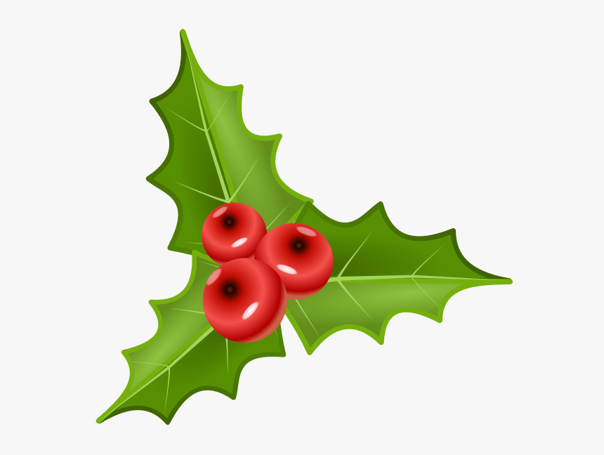 Three Holly Leaves With Three Crones Vector Illustration - Holly Berries Clipart Png, Transparent Png, Free Download