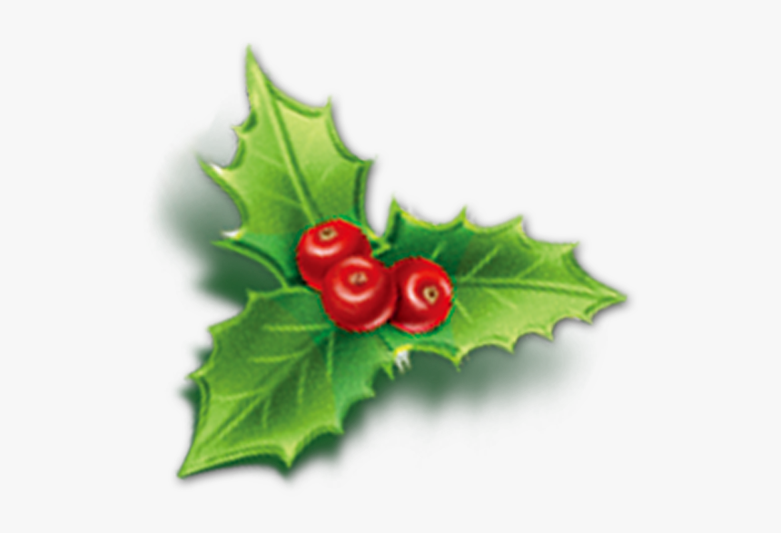 Holly Aquifoliales Christmas Mistletoe Icon - Mistletoe Icon, HD Png Download, Free Download