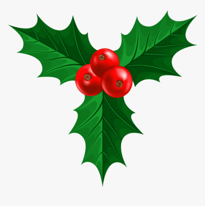 Pictures Of Christmas Holly - Transparent Christmas Holly Png, Png Download, Free Download