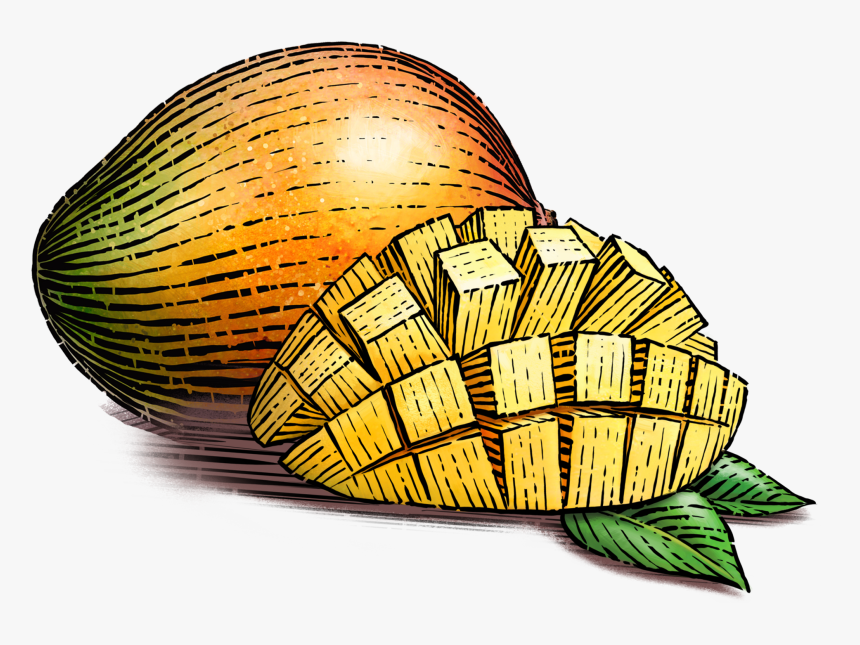 Nutrition Facts - Illustration Of Mangoes In Basket, HD Png Download, Free Download