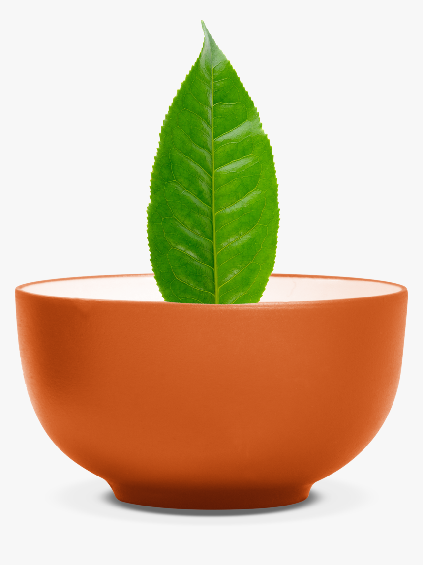 Bowl, HD Png Download, Free Download