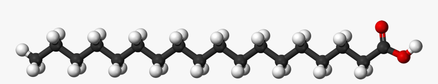 Saturated Fatty Acids 3d, HD Png Download, Free Download