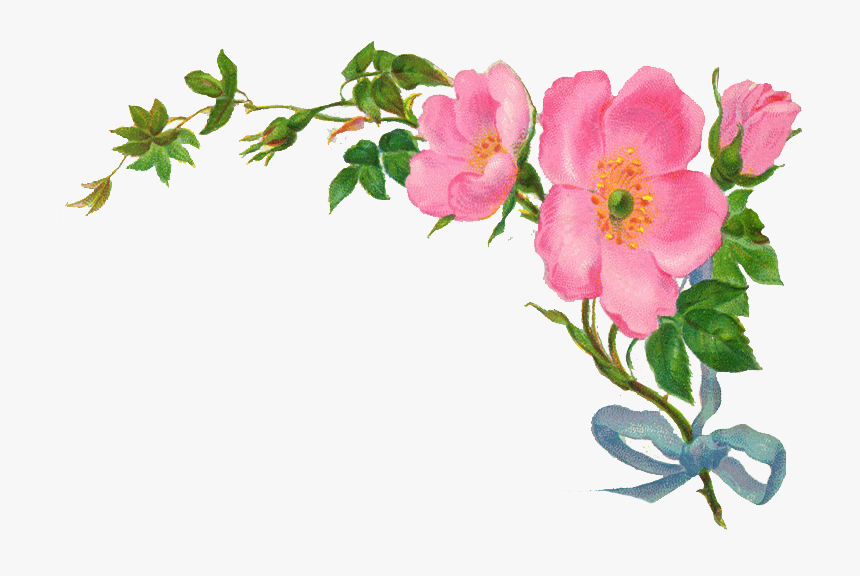 Flower Border On Transparent, HD Png Download, Free Download