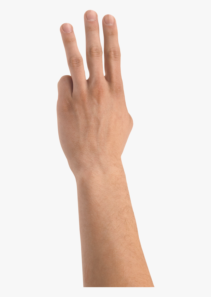 Three Fingers Hand Png, Transparent Png, Free Download