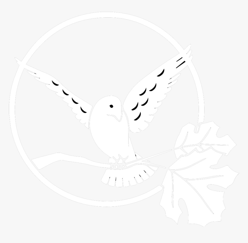 White Bird Clinic, HD Png Download, Free Download