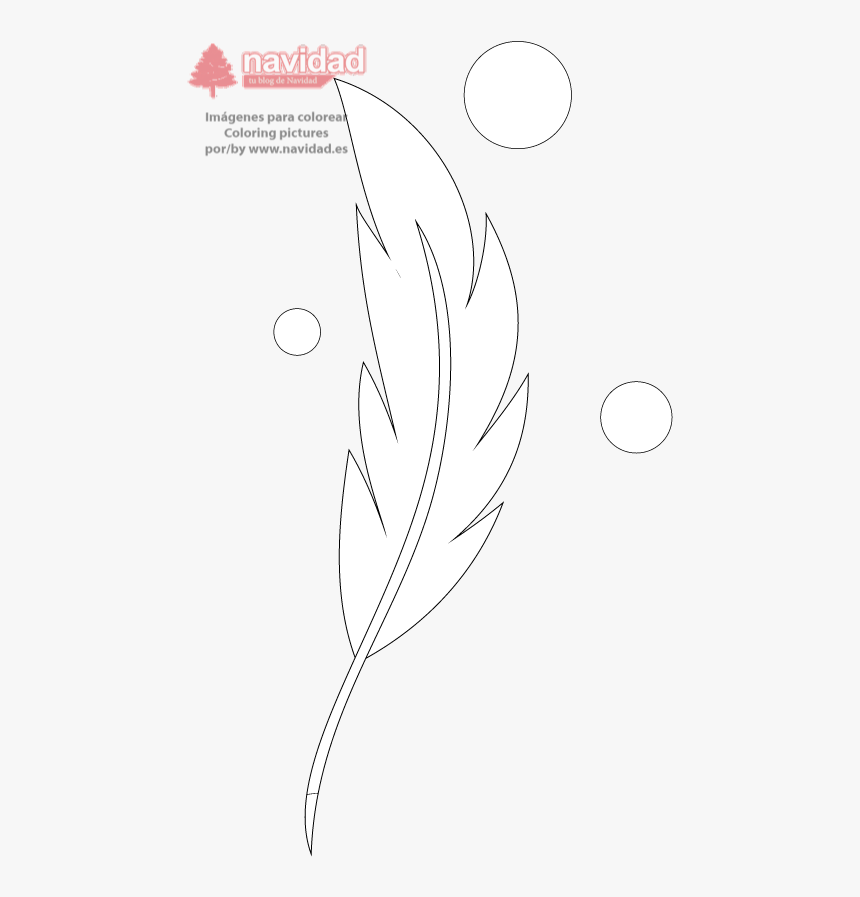 Pluma Y Burbujas - Illustration, HD Png Download, Free Download