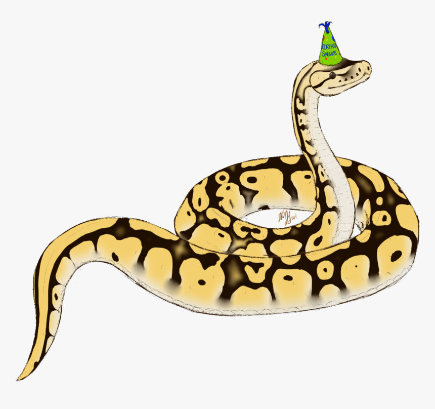 Snake Png Clipart - Birthday Snake Clip Art, Transparent Png, Free Download