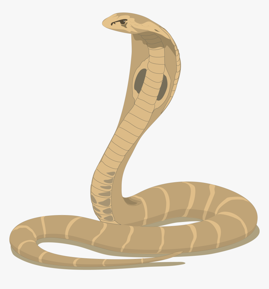 Transparent Snake Png Transparent - Happy Nag Panchami 2019, Png Download, Free Download