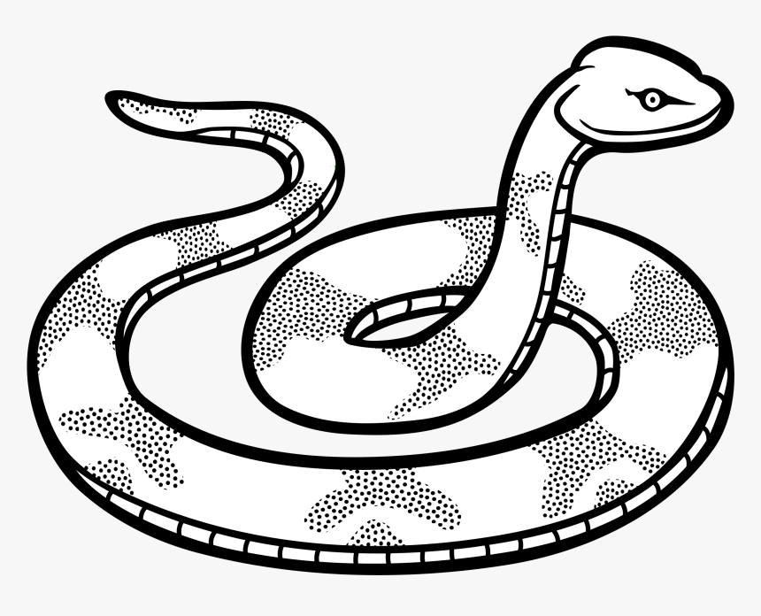 Drawn Snake Snake Png - Clip Art Black And White Snake, Transparent Png, Free Download