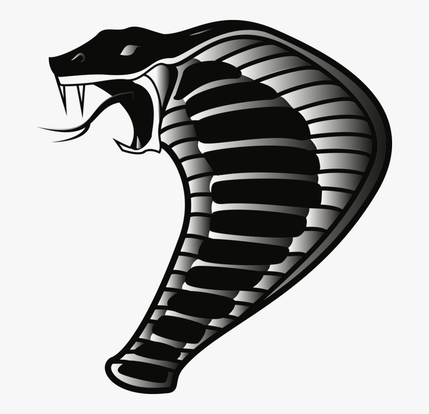 Reptile,black And White,snakes - Cobra Png, Transparent Png, Free Download